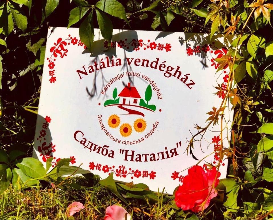 Natalia Vendeghaz Hotel Csetfalvat Esterno foto